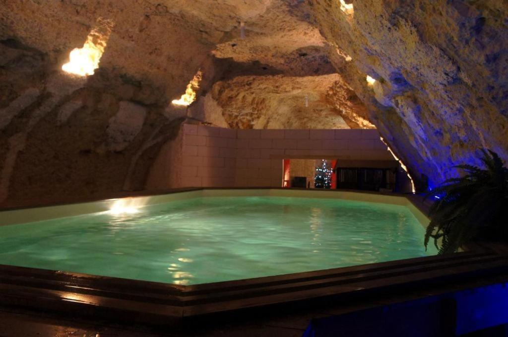 Chambres D'Hotes Troglodytes Le Clos De L'Hermitage Amboise Room photo