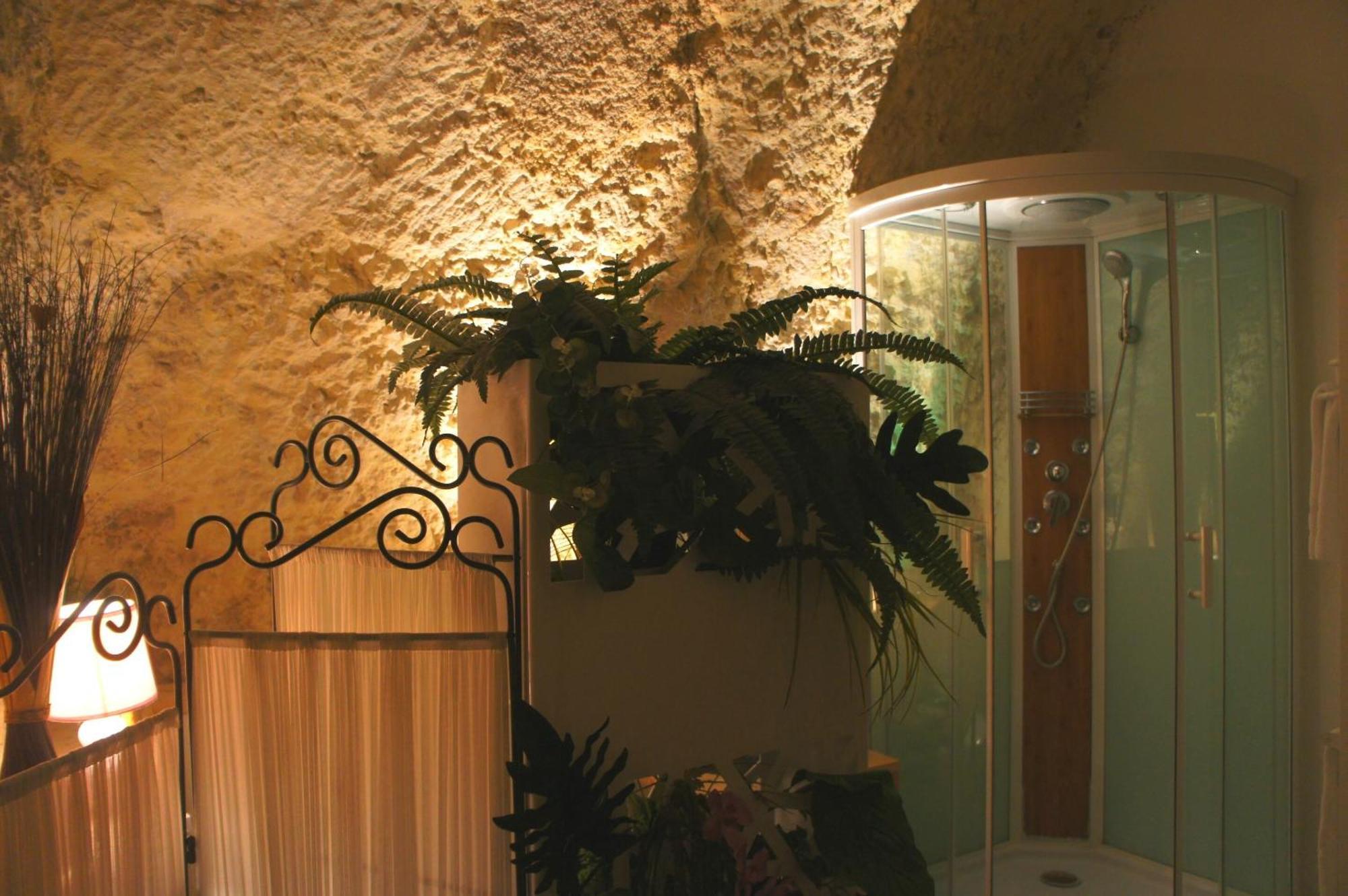 Chambres D'Hotes Troglodytes Le Clos De L'Hermitage Amboise Exterior photo